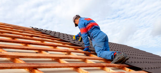 Trusted Maynardville, TN Roofing service Experts